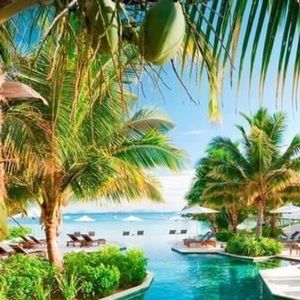 SUP dudes! 🤙🏼 🐘🐬🦎🦀